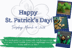 2026 Happy Holidays - Saint Patrick's Day