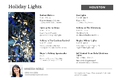 2025 Holiday Lights (Houston)