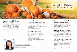 2026 Pumpkin Patches (San Antonio)