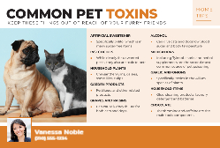 Home Tips - Common Pet Toxins